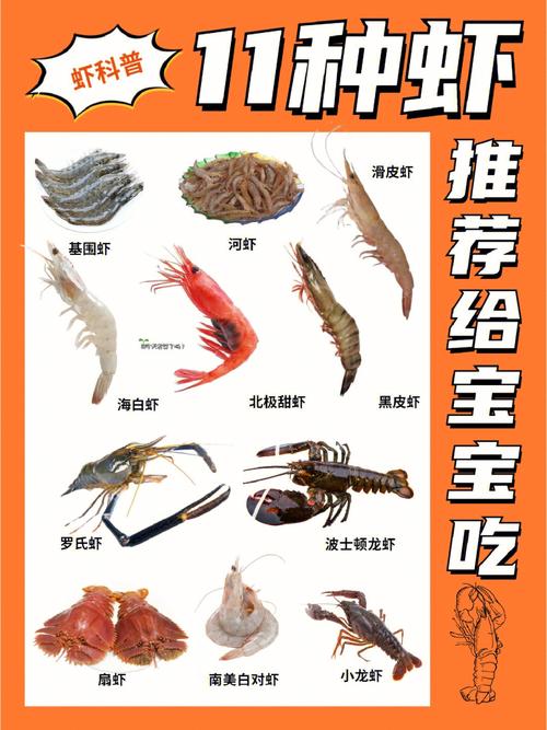 一岁国内代孕宝宝吃多少虾