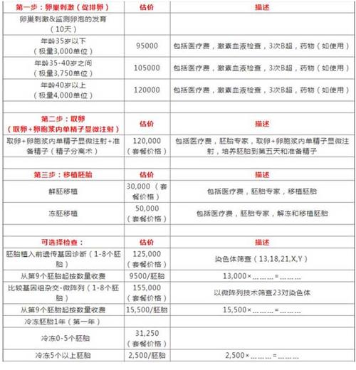 代孕的多少费用